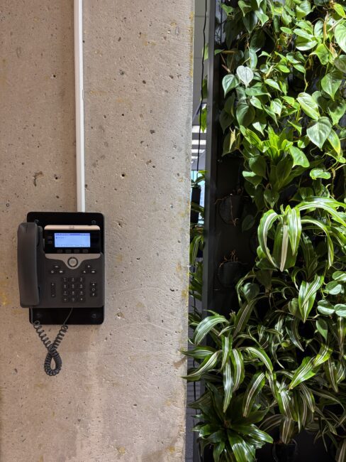 Emergency phone mounted on column next to plant wall