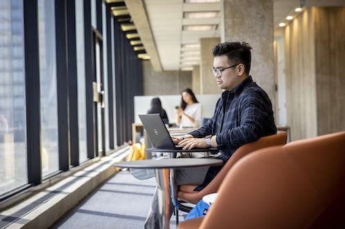 Student sitting in the library using a laptop.