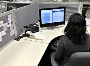 Summer student staff working at computer